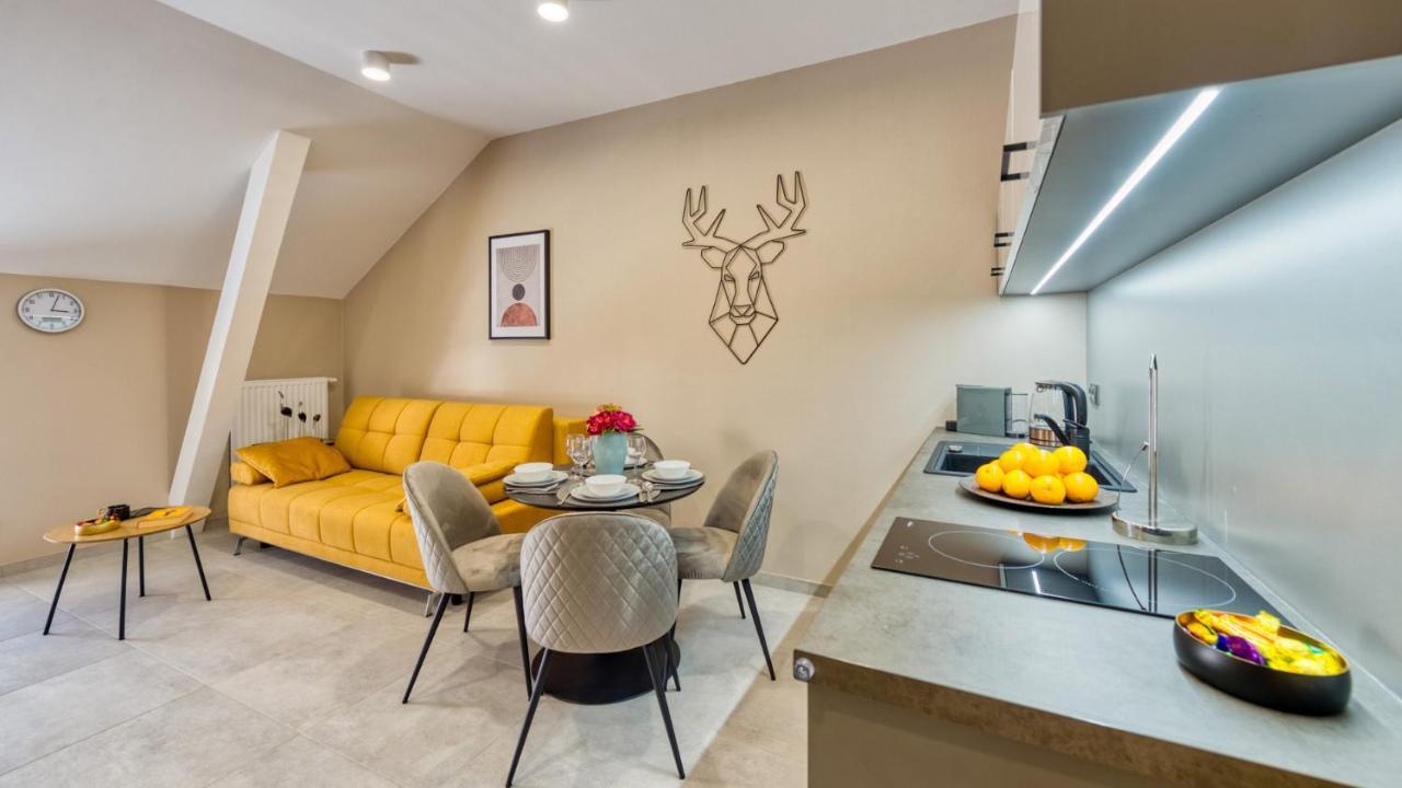 Apartamenty Vip Zdrojowa 6 Свєрадув-Здруй Екстер'єр фото